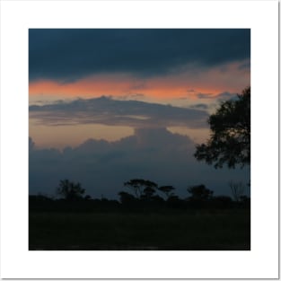 African Tree and Dramatic Night Sky Posters and Art